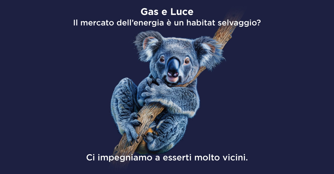 CAMPAGNA STAMPA