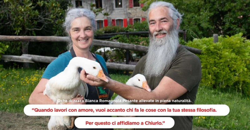 CAMPAGNA STAMPA